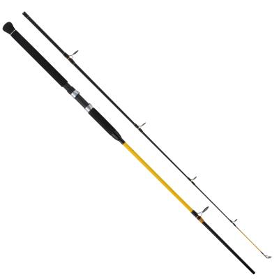 WFT N.C. Big Fish 150-700g 2,40m von WFT