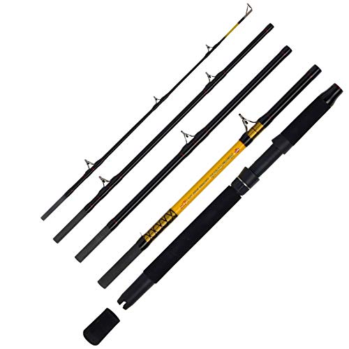 WFT Never Crack Big Cat 5tlg. 200-1000g 2,60m WFT Never Crack Big Cat 5tlg. 200-1000g 2,60m von WFT