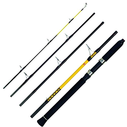 WFT Never Crack Big Fish 5tlg. 150-700g 2,40m WFT Never Crack Big Fish 5tlg. 150-700g 2,40m von WFT