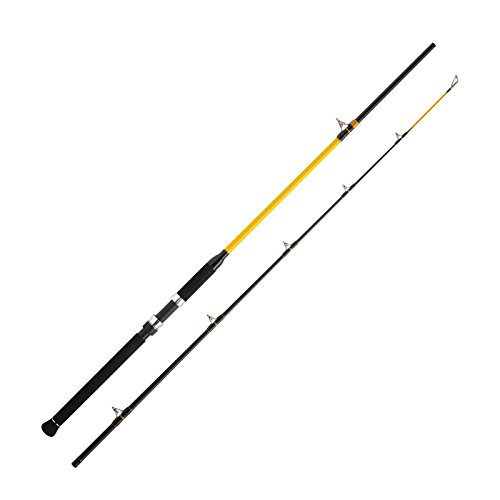 WFT Never Crack Catfish Boat 250-1000g 2,40m WFT Never Crack Catfish Boat 250-1000g 2,40m von WFT
