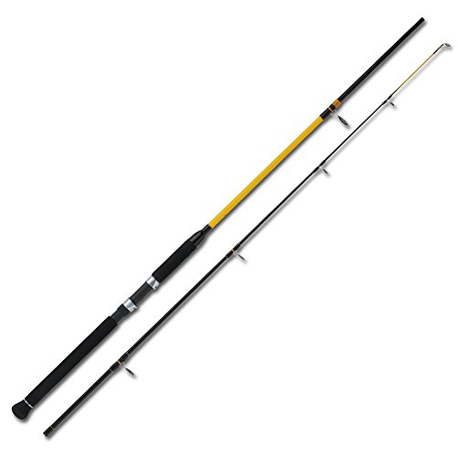 WFT Pilkrute Never Crack Senso Pilk 2,40m 20-120g WFT Pilkrute Never Crack Senso Pilk 2,40m 20-120g von WFT