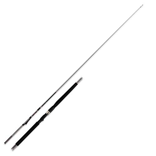 WFT Prion Inline 7' 2,10m 300-900g WFT Prion Inline 7' 2,10m 300-900g von WFT