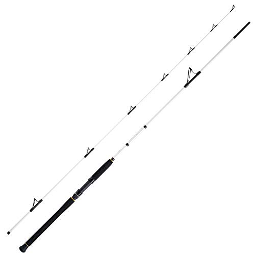 WFT Salzmeister Coastal Jigger 2,75m 40-160g WFT Salzmeister Coastal Jigger 2,75m 40-160g von WFT