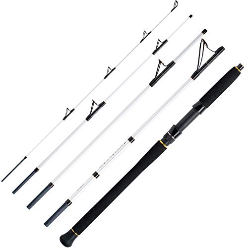 WFT Salzmeister Köhler Jigger 2,65m 25-120g 5pc. WFT Salzmeister Köhler Jigger 2,65m 25-120g 5pc. von WFT