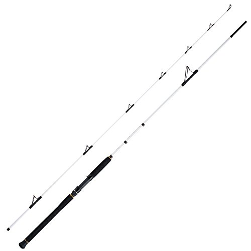 WFT Salzmeister Köhler Jigger 2,65m 25-120g WFT Salzmeister Köhler Jigger 2,65m 25-120g von WFT