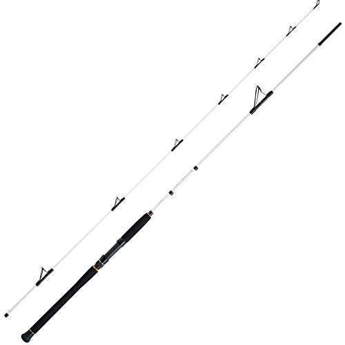 WFT Meeresrute Angelrute - Salzmeister Pollack Jigger 2,65m 20-90g Rute 2-Teilig WFT Meeresrute Angelrute - Salzmeister Pollack Jigger 2,65m 20-90g Rute 2-Teilig von WFT