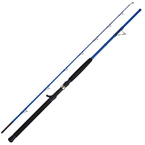 WFT Sea Dart 30lbs 50-320g 1,85m WFT Sea Dart 30lbs 50-320g 1,85m von WFT