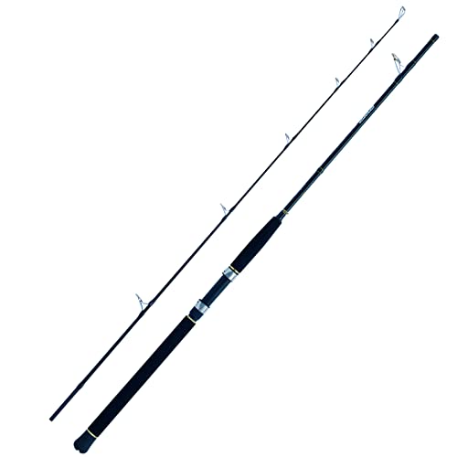 WFT Sea Dart Special Fjord 2pc. 2,10m 18lbs 20-200g Norwegenrute Angelrute von WFT