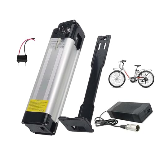 WILLQ 36 V 24 V 10 Ah 13 Ah E-Bike-Akku 24 V 15,6 Ah 18 Ah Lithium-Akku 36 V 17,5 Ah Ersatzakku für 50-650 W Elektro-Fahrrad-Motor-Kit mit 2 A Ladegerät/BMS/Schloss,24v15.6ah von WILLQ