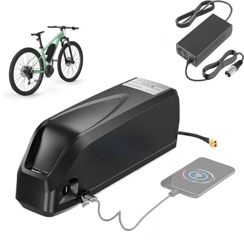 WILLQ 36-Volt-E-Bike-Akku, 36 V, 15,6 Ah, 18,2 Ah, 20,8 Ah, 23,2 Ah, 25,6 Ah, 28 Ah, Unterrohr-Lithium-Akku für 100 W, 500 W, 750 W, 1000 W, E-Bike-Motor-Umrüstsatz mit Ladegerät,36v 28ah von WILLQ