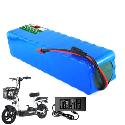 WILLQ 48 V 10 Ah 15 Ah E-Bike-Akku, wiederaufladbarer, wasserdichter Lithium-Akku für 250 W 500 W 750 W Elektro-Fahrrad-Scooter-Motor mit Ladegerät und T-Stecker,48v15ah von WILLQ