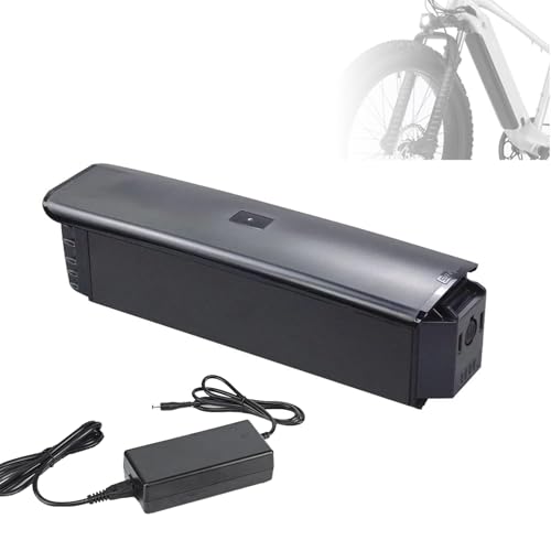 WILLQ 48 V 14 Ah 672 Wh E-Bike-Akku 48 Volt Innenakku Ersatz-Backup-Lithium-Akkus für Elektrofahrräder mit Ladegerät für Motormodifiziertes Kit von WILLQ