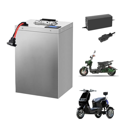 WILLQ 48 Volt Li-Ionen-Akku 48 V 30 Ah 50 Ah 60 Ah 80 Ah 100 Ah Wiederaufladbarer Lithium-Akkupack Motorradbatterie mit Ladegerät für 250 W-2500 W Motor,48v80ah von WILLQ