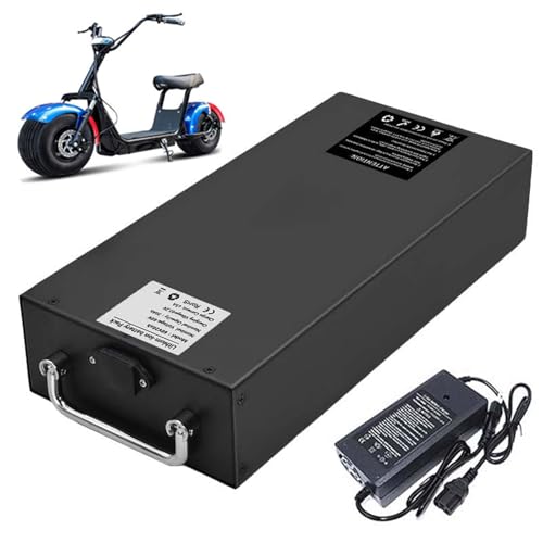 WILLQ 60-V-Elektrofahrradakku 13 Ah 15,6 Ah 18,2 Ah 20,8 Ah 24 Ah 27,2 Ah Elektromotorrad-Akkupack Li-Ionen-Akku für 250 W-1600 W Zweirad-Motorrad mit Ladegerät,60v20.8ah von WILLQ