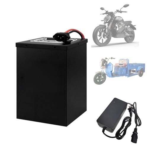 WILLQ 60 Volt E-Bike Akku LiFePO4 Akku 60V 16Ah 18Ah 20Ah 25Ah 30Ah 45Ah 50Ah Motorradbatterie Lithiumbatterie für 0-3000W Moped Fahrrad Dreiradmotor mit Ladegerät,60v30ah von WILLQ