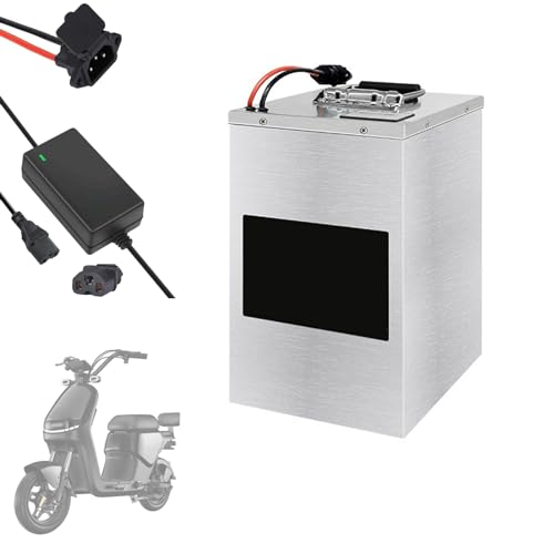 WILLQ E-Bike-Akku 48V 60V 72V Moped-Fahrradakku 35AH 40AH 52AH Lithiumbatterie 60AH 70AH 100AH ​​Motorradbatterie für 5000W Dreiradmotor mit Ladegerät,48v100ah von WILLQ