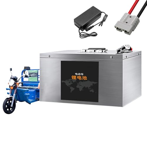 WILLQ Motorradbatterie 72 V 60 V 48 V E-Bike-Batterie 35 Ah 55 Ah 85 Ah 100 Ah 120 Ah 150 Ah Ersatz-LiFePO4-Batterie Lithiumbatterie für 50-5000 W Moped-Dreiradmotor,48v120ah von WILLQ