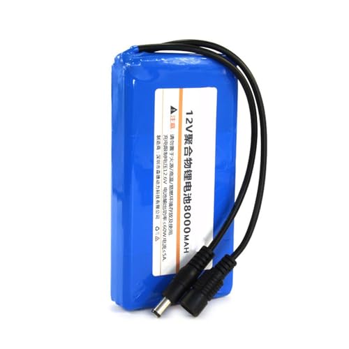 WILLQ Wasserdichter Akku 12 V 8000 mAh Polymer-Lithium-Akku 12 Volt wiederaufladbarer Li-Ionen-Akkupack mit Gleichstromanschluss für 12 V Elektrogeräte Tragbarer Backup-Akku von WILLQ