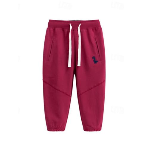 WISREMT Jungen Jogginghose Dinosaurier Muster Jogger Hosen Kleinkind Kinder Trainingsanzug Hosen Einfarbig Jogging Kordelzug Hosen 1-10 Jahre von WISREMT