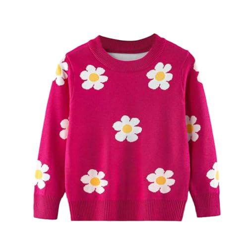 WISREMT Kleinkind Baby Mädchen Strickpullover Säugling Pullover Pullover Tops Floral Bedruckter Pullover Pullover Herbst Winter Warme Kleidung 6M-6Y von WISREMT