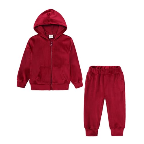 WISREMT Kleinkind Mädchen Samt Outfits Velours Hoodies und Jogger 2 Stück Trainingsanzug Herbst Winter Kleidung Set für kleine Kinder 2-8Y von WISREMT