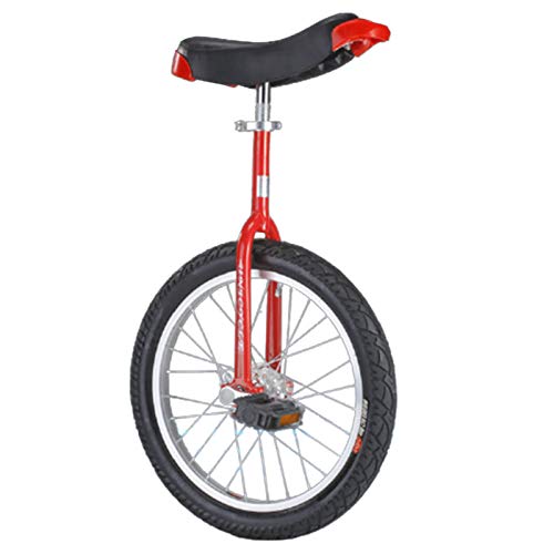 Einrad für Erwachsene mit 20 Zoll / 24 Zoll Rad - Alte Personen / Für schwere Lasten (bis zu 150 kg), selbstbalancierendes Fahrrad für große Kinder 16''/18'' - Einfach zu montieren von WJYLM