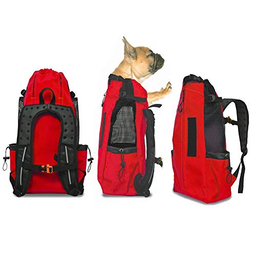 WLDOCA Hunderucksäcke für mittlere Hunde bis 15kg - Atmungsaktiver Faltbarer hundetransporttaschen - Geeignet für Motorradfahren, Wandern, Einkaufen, Reisen - Sicherheit Komfort,Red,L von WLDOCA