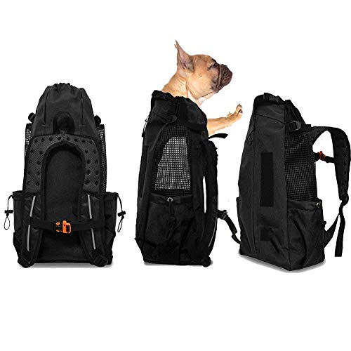 WLDOCA Hunderucksack für Mittelgroße Kleine Hunde, Hundetransporttaschen für Motorradfahren, Wandern, Einkaufen, Reisen, Geeignet für Haustiere 5kg-10kg,Black,M WLDOCA Hunderucksack für Mittelgroße Kleine Hunde, Hundetransporttaschen für Motorradfahren, Wandern, Einkaufen, Reisen, Geeignet für Haustiere 5kg-10kg,Black,M von WLDOCA