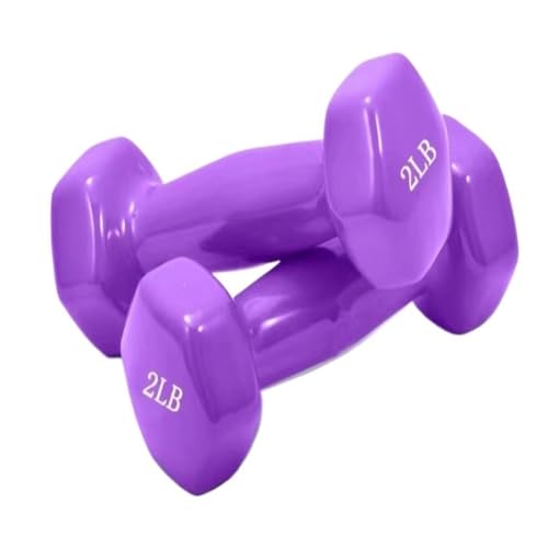 WLFKL dumm Glänzende, In Kunststoff Getauchte Hanteln for Männer Und Frauen, Fitness-Trainingsgeräte, Heim-Arm-Hebe-Arm-Kraft-Hanteln Krafttrainer(Purple,3kg) von WLFKL