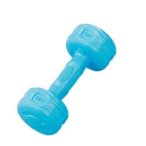 WLFKL dumm Hantel Damen Fitness Heimfitness Trainingsgerät Armmuskeltraining Gummibeschichtete Kleine Hantel Krafttrainer(Blue,1kg) von WLFKL