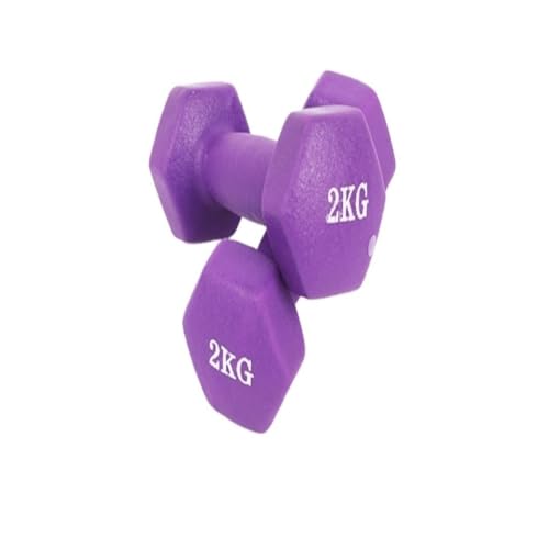 WLFKL dumm Heimfitness-Hanteln for Männer und Frauen, EIN Paar Bunte kleine Hanteln und sechseckige Hanteln Krafttrainer(Purple,2kg) von WLFKL