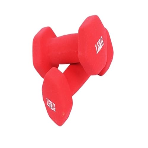 WLFKL dumm Heimfitness-Hanteln for Männer und Frauen, EIN Paar Bunte kleine Hanteln und sechseckige Hanteln Krafttrainer(Red,1kg) von WLFKL