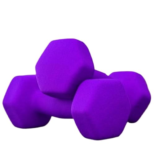 WLFKL dumm Kleine Hanteln Aus Mattiertem Kunststoff, Yoga-Fitnessgeräte for Männer, EIN Paar Sechseckige Hanteln for Armübungen Krafttrainer(Purple,2kg) von WLFKL