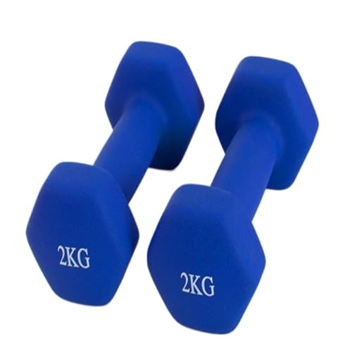 WLFKL dumm Schlanke Arm-Fitness, Damen-Brust-Unterglocke, Heim-Yoga, Kleine Hantel, Sportausrüstung, Hantel for Herren, Muskelaufbau Krafttrainer(Blue,6kg) von WLFKL