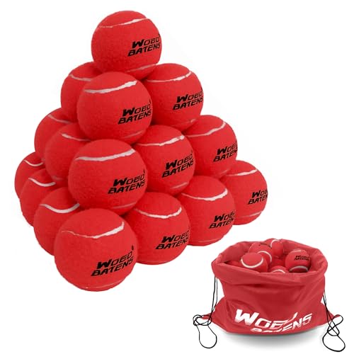 WOED BATENS 24 x 48 Packungen Premium-Tennisbälle für Training, Tennisbälle für Hunde, inklusive Tragetasche (gelb, langlebig, hochelastisch) (24 Packungen rot) von WOED BATENS