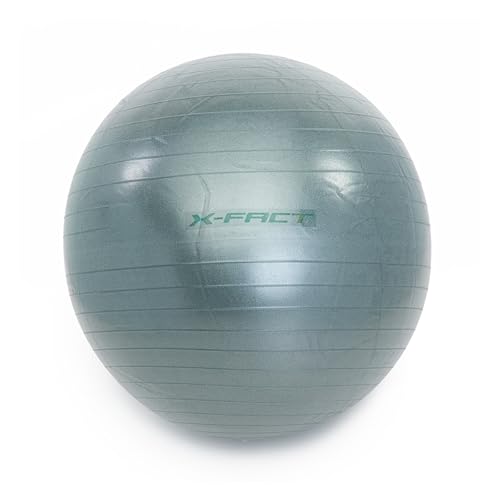 WORQOUT Gymnastikball 65 cm Peziball – Fitnessball, Sitzball Rutschfester und reißfester Fitnessball für Yoga, Schwangerschaft, Stabilität und Physiotherapie, mit Pumpe, Fitnessball WORQOUT Gymnastikball 65 cm Peziball – Fitnessball, Sitzball Rutschfester und reißfester Fitnessball für Yoga, Schwangerschaft, Stabilität und Physiotherapie, mit Pumpe, Fitnessball von WORQOUT