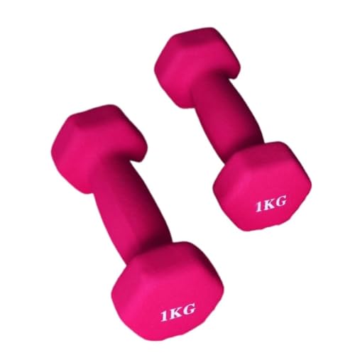 Hantelset Mit Gewichten Bunte Damen Kleine Hanteln Paar Aerobic Abnehmen Arm Körper Fitness Übung Kniebeugen Schaukel Rudern Hantelset(Pink,10kg) von WOSHIXIAOKEAI