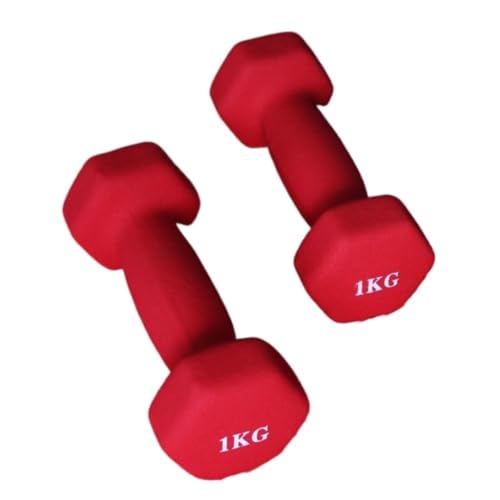 Hantelset Mit Gewichten Bunte Damen Kleine Hanteln Paar Aerobic Abnehmen Arm Körper Fitness Übung Kniebeugen Schaukel Rudern Hantelset(Red,8kg) von WOSHIXIAOKEAI