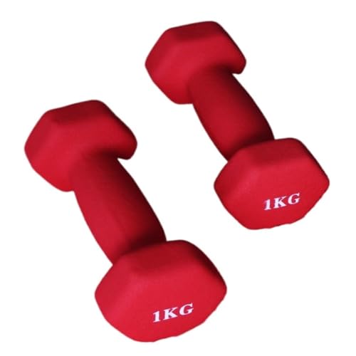 Hantelset Mit Gewichten Dip-Hanteln aus Kunststoff for Damen-Fitness-Heimgeräte, kleine Hanteln aus massivem reinem Eisen for Herren-Yoga-Arme Hantelset(Red,4KG) von WOSHIXIAOKEAI