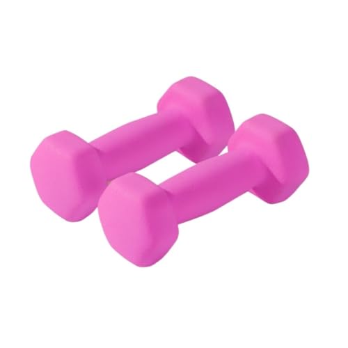 Hantelset Mit Gewichten Dumbbells For Women Fitness Home Girls Women's Yaling Hexagonal Solid Iron Men's Plastic Dipped Dumbbells Hantelset(Pink,8kg) von WOSHIXIAOKEAI