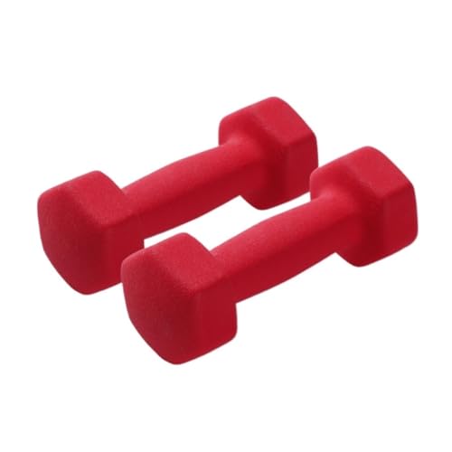 Hantelset Mit Gewichten Dumbbells For Women Fitness Home Girls Women's Yaling Hexagonal Solid Iron Men's Plastic Dipped Dumbbells Hantelset(Red,2kg) von WOSHIXIAOKEAI