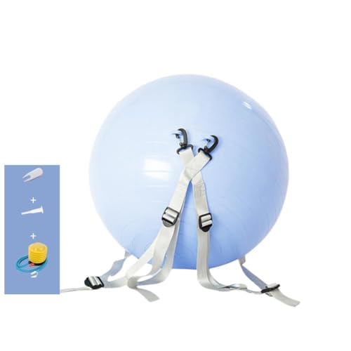 WRIBZD Multifunktionaler Hilfs-Fitness-Yoga-Ball, verdickter Rücken, explosionsgeschützter Ball, E9h3-Ausrüstung, aufblasbar, für den unteren Pilates-Tanz von WRIBZD