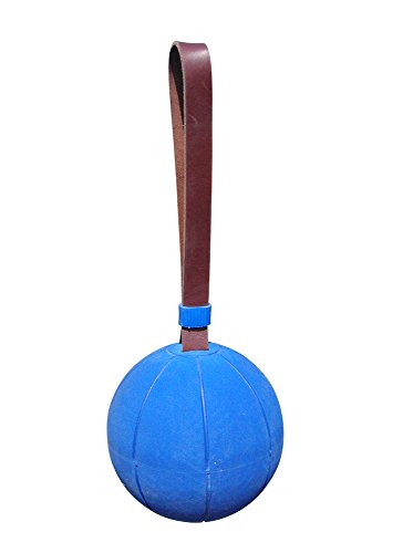 WV Original Schleuderball - 1,50 kg für das Deutsche Sportabzeichen WV Original Schleuderball - 1,50 kg für das Deutsche Sportabzeichen von WV