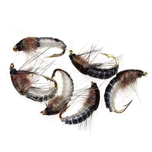Für Bimoo 6 Stück #12 Realistische Nymphe Scud Fly zum Forellenangeln Nymphe Kunstköder Nymphe Cadis Fliegenköder Insektenangeln Neu Für Bimoo 6 Stück #12 Realistische Nymphe Scud Fly zum Forellenangeln Nymphe Kunstköder Nymphe Cadis Fliegenköder Insektenangeln Neu von WWDZ