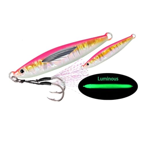 1 Pc Rassel Jig Meer Angeln Köder 20g-80g Lange Casting Köder Spinning Künstliche Köder mit Haken löffel Angelgerät 1 Pc Rassel Jig Meer Angeln Köder 20g-80g Lange Casting Köder Spinning Künstliche Köder mit Haken löffel Angelgerät von WXNZJ