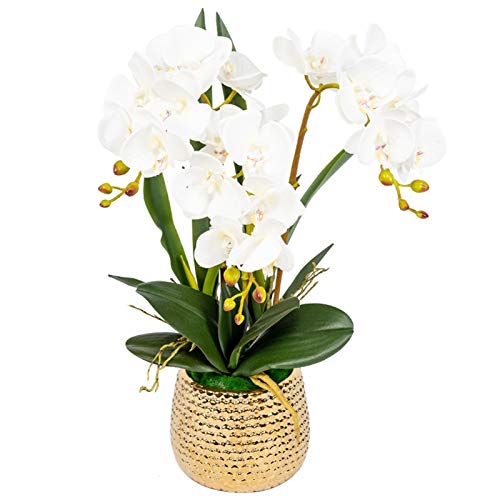 WYUYIW Künstliche Blume im Topf, künstliche Orchideenblüten mit Vase, Phalaenopsis, künstliche Blumen, Mittelstücke für Esstisch, Wohnzimmer, Arrangements, Dekoration von WYUYIW