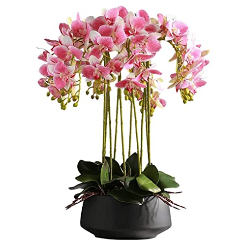 WYUYIW Orchideen-Kunstblumen, 10 Blumen, künstliche Phalaenopsis-Blumen, Topfpflanze, Blumenarrangement, künstliche Orchideen, kreative Kunstblumen, natürliches Aussehen von WYUYIW