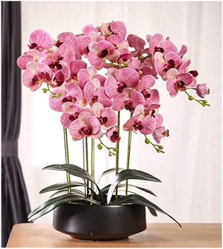 WYUYIW Orchideen-Kunstblumen, Orchideen, künstliche Seide, umweltfreundliches künstliches Phalaenopsis-Blumenmaterial, weiche künstliche Orchideen für jeden Anlass, natürlicher Look von WYUYIW