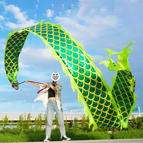 Bedruckte Drachen-Tattoo-Drachentanz-Flagge, quadratisches Fitness-Drachentanz-Requisiten-Set, schleudernde Drachen-Luftschlangen(Color:Green) von WaiDXn