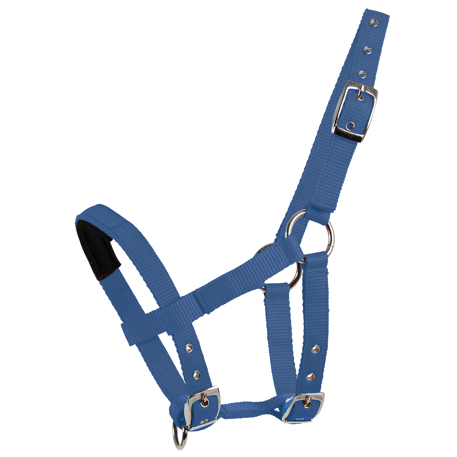 Mini-Shetty Halfter Mini-Shetty Halfter von Waldhausen